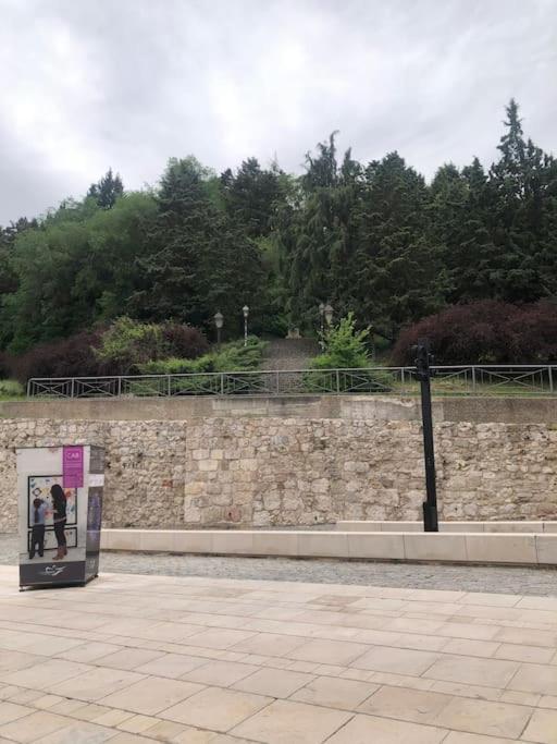 Vivienda De Uso Turistico En El Corazon De Burgos公寓 外观 照片