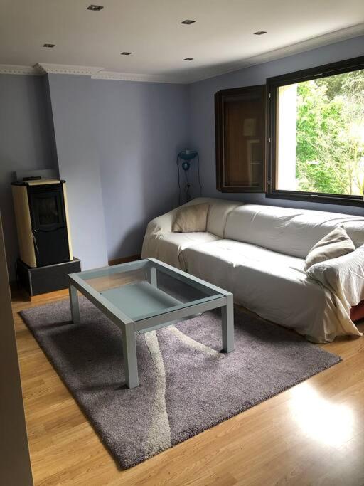Vivienda De Uso Turistico En El Corazon De Burgos公寓 外观 照片